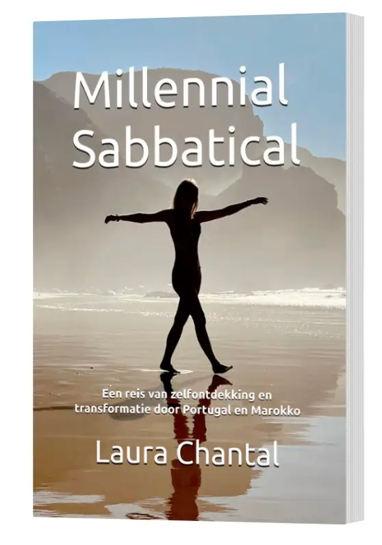 Millennial Sabbatical boek